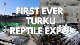 Thumbnail: Turku Reptile Expo 2025