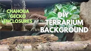 Thumbnail: DIY Bioactive Terrarium Build for Geckos