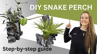 Thumbnail: DIY Snake Perch! Great for tree climbing, arboreal snakes!