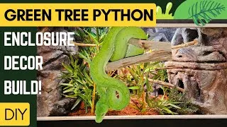 Thumbnail: DIY Green tree python enclosure: Ancient City Themed!