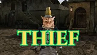 Thumbnail: Morrowind Basics - Thief Build