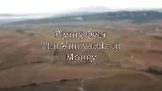 Thumbnail: Visit the South of France - Vineyard Wine Tours - Maury - Cotes du Roussillon - Res Fortes Winery