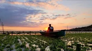 Thumbnail: Melodic House Sunset Mix in Bali | Nora En Pure, Paul Kalkbrenner, Joachim Pastor, NTO