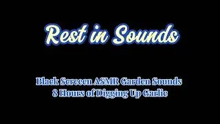 Thumbnail: Black Screeen ASMR Garden Sounds | 8 Hours of Digging Up Garlic | RestInSounds