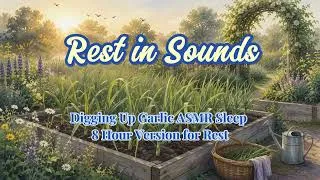 Thumbnail: Digging Up Garlic ASMR Sleep | 8 Hour Version for Rest | RestInSounds