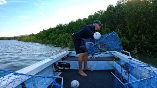 Thumbnail: CRABBING | Catch CRABS | Easy SEAFOOD Snack!