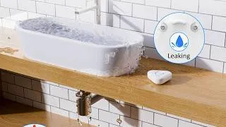 Thumbnail: Top 10 Best Water Leak Detectors in 2026