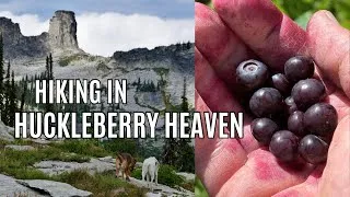 Thumbnail: Hiking through huckleberry heaven to Chimney Rock!