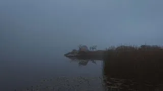 Thumbnail: Bluu - Remember (Ambient)