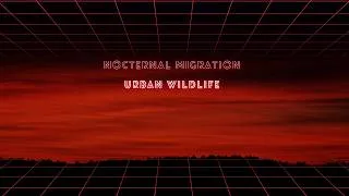 Thumbnail: Urban Wildlife | Nocternal Migration