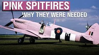 Thumbnail: The Logic Behind Pink Spitfires in WW2 | Rex Explains