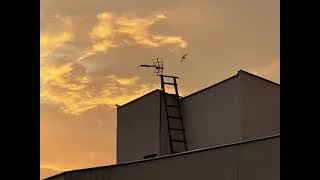 Thumbnail: Haboot / هبوط
