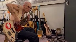 Thumbnail: Flea - Studio Session (November 29, 2025)
