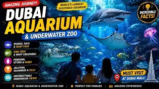 Thumbnail: 🦈 Dubai Aquarium & Underwater Zoo 🇦🇪 | An Unforgettable Underwater Adventure!