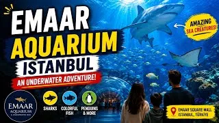 Thumbnail: 🐠 Exploring Emaar Aquarium Istanbul 🇹🇷 | Amazing Underwater Adventure!
