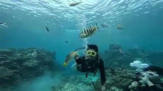 Thumbnail: Travel Vlog Sea & Mountain Walk  Shopping Travel Essentials in Mall #travel #travelvlog