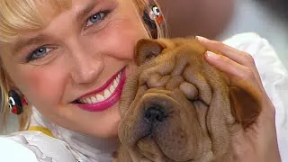 Thumbnail: Xou da Xuxa (02/10/91) - #XouDaXuxa40Anos