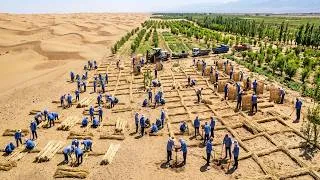 Thumbnail: How China Is Turning Its DEADLIEST DESERTS Into Green Forests