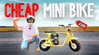 Thumbnail: I Tested the CHEAPEST Mini Bike on the Internet [Hoverhearts 99CC]