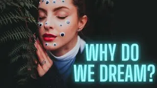 Thumbnail: 12 Interesting Facts About Dreams you didn't know