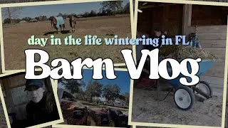 Thumbnail: DAY IN THE LIFE • Around the Barn Chores & Caring for the Horses  // EQUESTRIAN VLOG