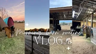 Thumbnail: Morning Barn Routine | Feeding the Horses & Catching up around the Barn / EQUESTRIAN VLOG