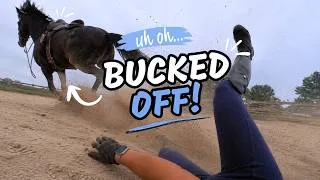 Thumbnail: I Get BUCKED Off | First Lesson On Beau!