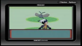 Thumbnail: Blue Goose