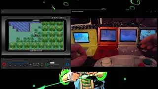 Thumbnail: CATCH or FAIL? Safari Week 2025