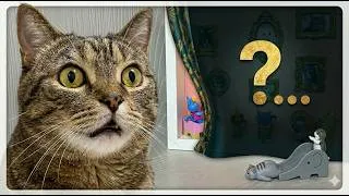 Thumbnail: I made a mini gallery for my cats🐱🖼️ #cat #diy #craft