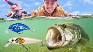 Thumbnail: $100 Walmart vs Bass Pro Shops Fishing Challenge!