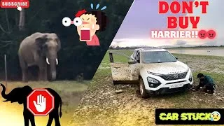 Thumbnail: Don’t buy Harrier 😡 — Elephant encounter😱 ||Didn’t Expect This From Tata🤬💔—Near Death Experience😟
