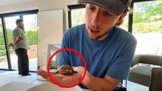 Thumbnail: BOYFRIENDS MEET THE NEWEST MEMBER!