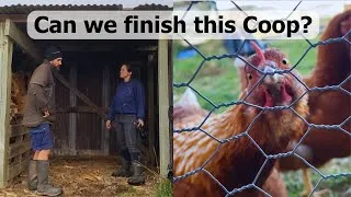 Thumbnail: Homeless Chickens? 1 day Coop Building Challenge!