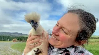 Thumbnail: Couldn’t Resist at the Poultry Show! I NZ Country Life Vlog
