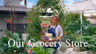 Thumbnail: Harvesting Groceries From My 120sqm Kitchen Garden (Subtropical Australia)