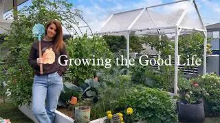 Thumbnail: Kitchen Garden Tour & First Harvests in July - Subtropical Australia