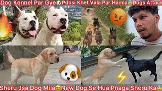 Thumbnail: Dog Kennel Par Gye🐶Odd Eye Dogoargentino Dog🔥Same Sheru K Jsa Dog Milgya😍New Dog Se Hua Panga😨