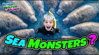 Thumbnail: 1000 GIANT SEA MONSTERS?! Kids swim with Manatees