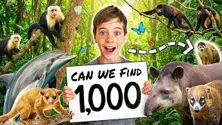 Thumbnail: Mystery Animal Challenge 🕷️🐾🐍 Kids Find 1000 Animals in Costa Rica Jungle