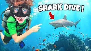 Thumbnail: KIDS Dive with SHARKS, TURTLES, and BARRACUDA! River & Wilder Show