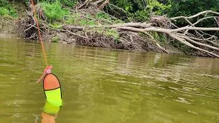 Thumbnail: Bobber Fishing A LITTLE RIVER!!! (Catch and Cook)