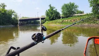 Thumbnail: URBAN River Catch and Cook!!! (Big Fish)