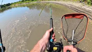 Thumbnail: This River Is LOADED WITH FISH!!! (Big Fish)