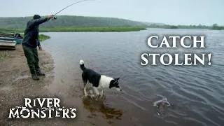 Thumbnail: Jeremy Wade’s Catch Gets STOLEN! | River Monsters