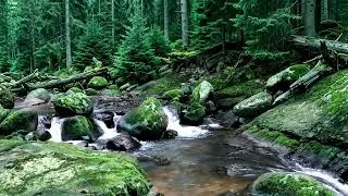 Thumbnail: Soft River Water Sounds | Peaceful Sleep Ambience Without Music