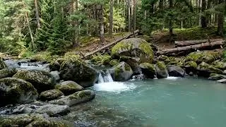 Thumbnail: Gentle River Flow Soundscape for Insomnia Relief | Nature Water Vibes