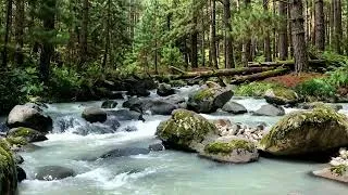 Thumbnail: Dreamy Waterfall & River Sounds for Deep Sleep | Peaceful Nature Ambience for Relaxation