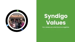 Thumbnail: Syndigo Values