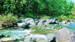 Thumbnail: Serene River Sounds | Natural Water Ambience for Calm Mind and Stress Relief